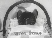 Critique de « Kitten's Sickness » : une fusion d'une histoire émouvante et d'une belle musique 