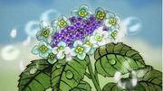 « Summer Love Flowers » : réévaluer l'émotion de Minna-Uta 