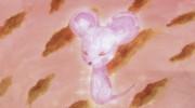 Les souris aiment le riz : une analyse approfondie de l'attrait des chansons de chacun 