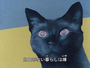 Cat's Eye Love : l'attrait et les critiques de la version Minna no Uta 