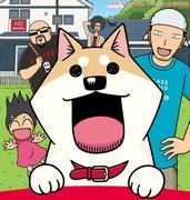 Mon cher Mooko : Quel est l'attrait de cet anime réconfortant et apaisant qui dépeint la vie quotidienne d'un chat ? 
