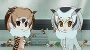 L'attrait et les impressions de la collaboration Kemono Friends x Anisama 2017 
