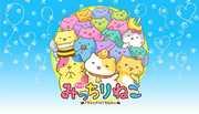 Critique de « Mitchiri Neko » : un anime incontournable pour les amoureux des chats ! 