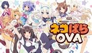 L'attrait et les critiques de Nekopara OVA : une expérience animée incontournable pour les amoureux des chats 