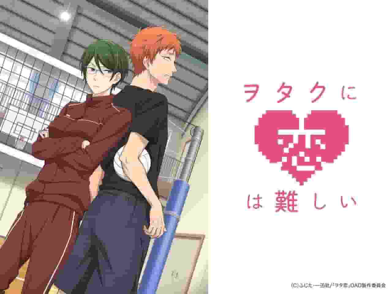 Wotakoi : L'amour est difficile pour les otaku (10) Édition spéciale : Une dissection approfondie des luttes amoureuses du couple otaku ultime ! 